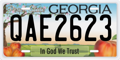 GA license plate QAE2623