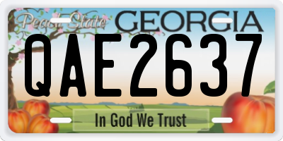 GA license plate QAE2637