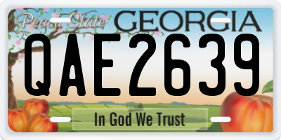 GA license plate QAE2639