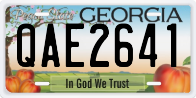 GA license plate QAE2641
