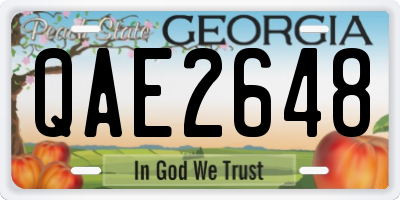 GA license plate QAE2648