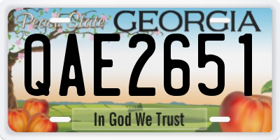 GA license plate QAE2651