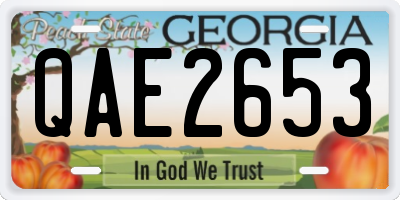 GA license plate QAE2653