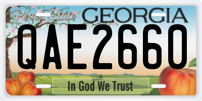 GA license plate QAE2660