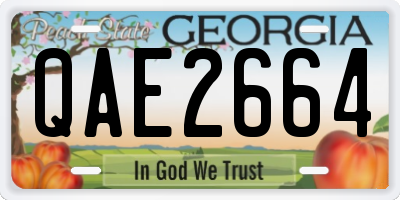 GA license plate QAE2664