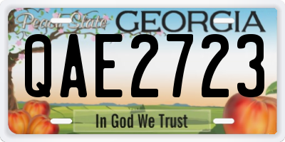 GA license plate QAE2723