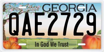 GA license plate QAE2729