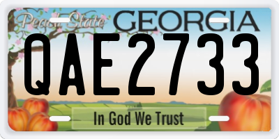 GA license plate QAE2733
