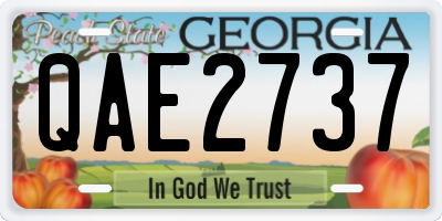 GA license plate QAE2737
