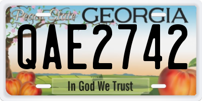 GA license plate QAE2742