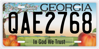 GA license plate QAE2768