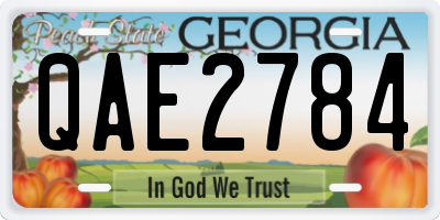 GA license plate QAE2784