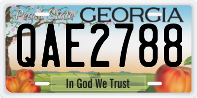 GA license plate QAE2788