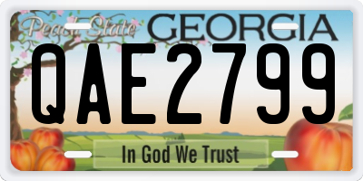 GA license plate QAE2799