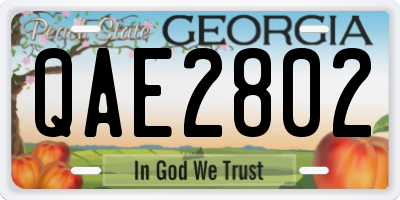 GA license plate QAE2802