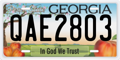GA license plate QAE2803