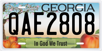GA license plate QAE2808