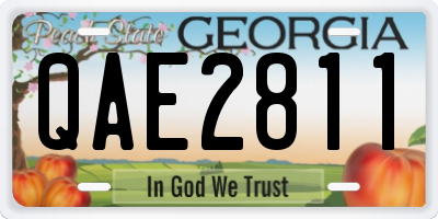 GA license plate QAE2811