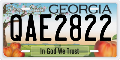 GA license plate QAE2822
