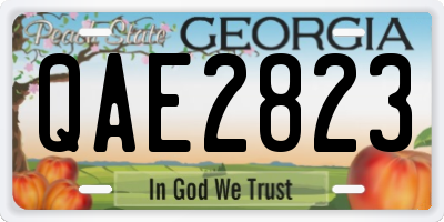 GA license plate QAE2823
