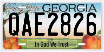 GA license plate QAE2826