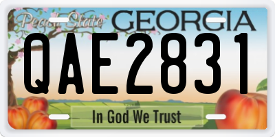 GA license plate QAE2831
