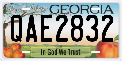 GA license plate QAE2832