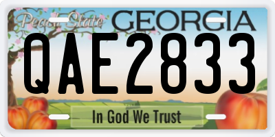 GA license plate QAE2833