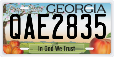 GA license plate QAE2835