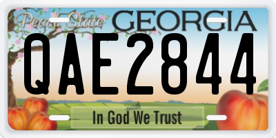 GA license plate QAE2844