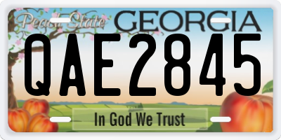 GA license plate QAE2845