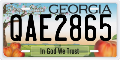 GA license plate QAE2865