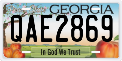 GA license plate QAE2869