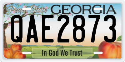 GA license plate QAE2873