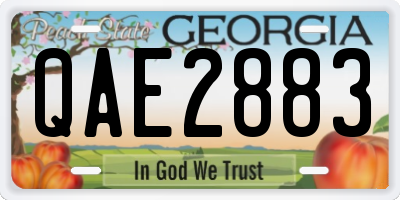 GA license plate QAE2883