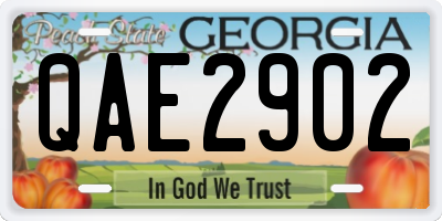 GA license plate QAE2902