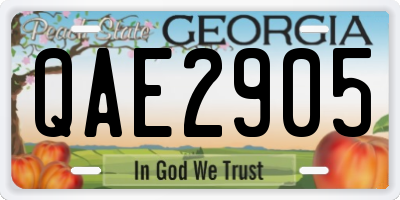 GA license plate QAE2905