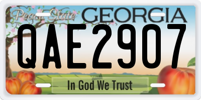 GA license plate QAE2907
