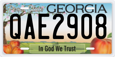 GA license plate QAE2908