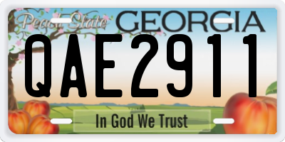 GA license plate QAE2911