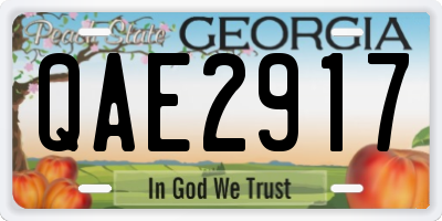 GA license plate QAE2917