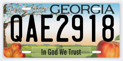 GA license plate QAE2918