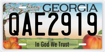 GA license plate QAE2919