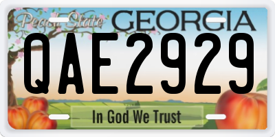 GA license plate QAE2929