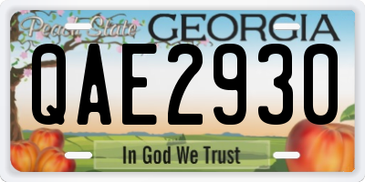 GA license plate QAE2930