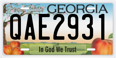 GA license plate QAE2931