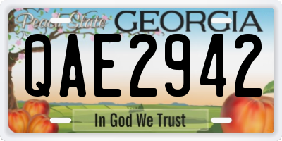 GA license plate QAE2942