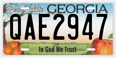 GA license plate QAE2947