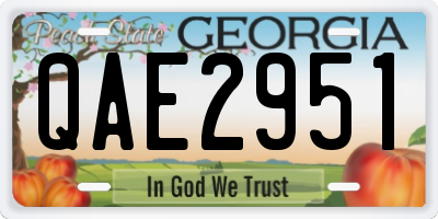 GA license plate QAE2951