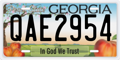 GA license plate QAE2954